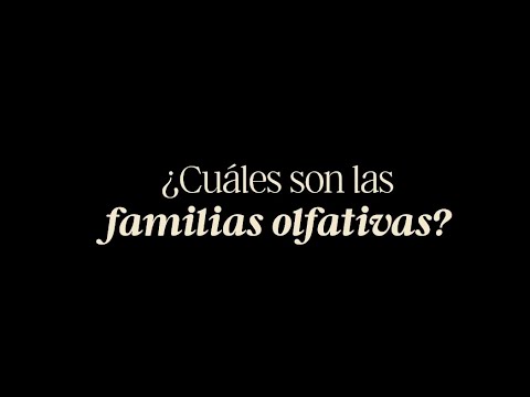 ¿Cuáles son las familias olfativas?