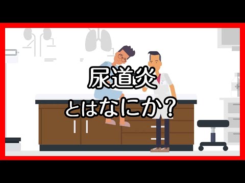 【アニメ】尿道炎とはなにか？