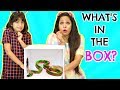 WHAT'S In The BOX Challenge || MyMissAnand -VS- ShrutiArjunAnand