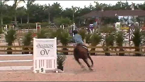 Video of CARTIER riden by REBECCA WHITTAKER from S...