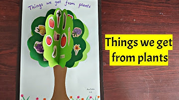 Things we get from plants