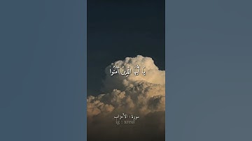 Quran Kareem story 🌸WhatsApp  أجمل قرائه قرآن كريم حالات واتس 🍃 《 سوره الأحزاب  》