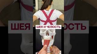 Зажим челюсти и шея
