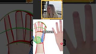 How to draw #HANDS