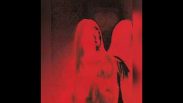 Martin Garrix, Matisse & Sadko, John Martin - Won