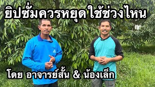 ยิปซั่มควรหยุดใช้ตอนไหน และกลับมาใช้อีกทีเมื่อไหร่ | อาจารย์สั้น & น้องเล็ก