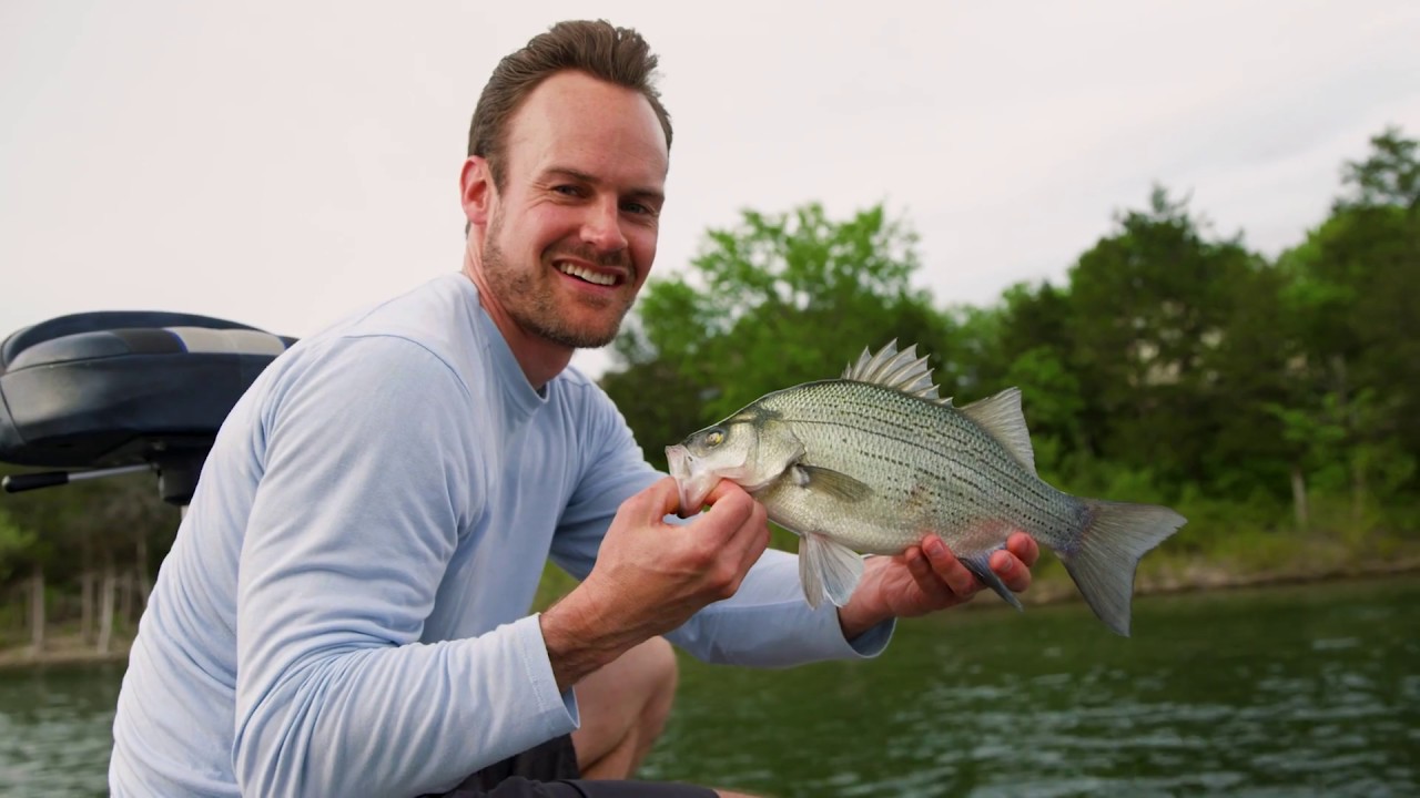 Building Your Life in Springfield, Missouri