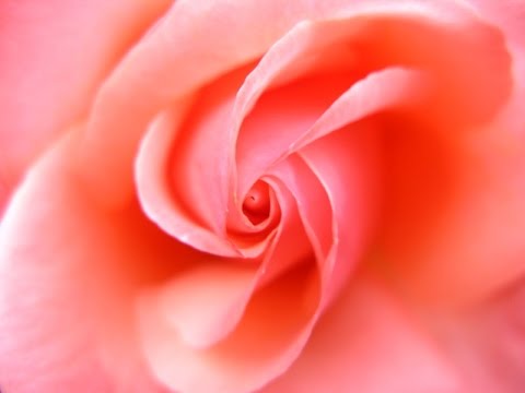 山内惠介「年上の女（ひと）森進一」Elder Woman