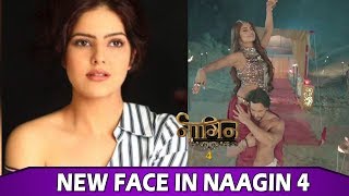 Naagin 4 New Character To Introduce In The Show Paree Pandey As Vijayendra Kumarias Sister