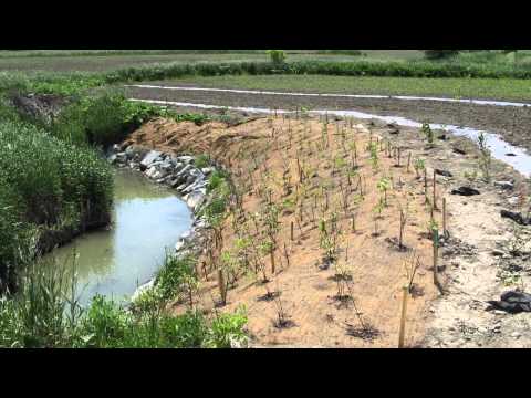 Ensemble pour la qualité de l'eau et de la biodiversité