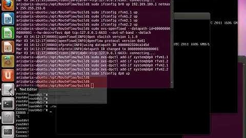RouteFlow with KVM on Ubuntu (Demo)