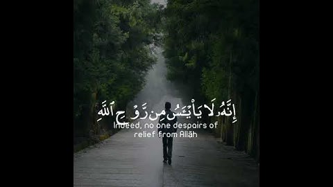 ولا تيأسوا من روح الله إنه لا ييأس من روح الله إلا القوم الكافرون | سورة يوسف | القارئ أنس الشافعي