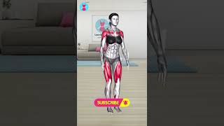 ➜ Beginners Exercise For FLAT BELLY 4
