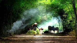 Suling Sunda Paling Merdu & Suara Air Mengalir Untuk Relaksasi