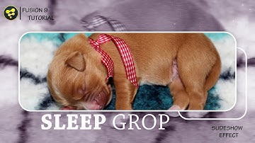 SLIDESHOW SIMPLE ANIMATION........ FUSION 9 TUTUORIAL