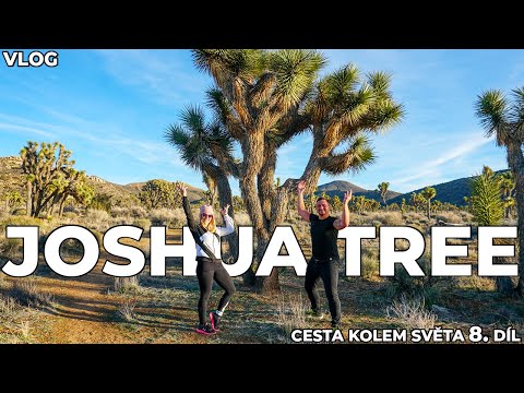 Video: Národní park Joshua Tree: Kompletní průvodce