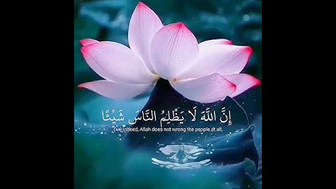 ايات بينات من الذكر الحكيم سعد الغامدي حالات واتس اب دينية قصيرة قران كريم تلاوة خاشعة ومؤثرة