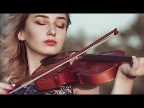 Video: Har alle violiner en basbar?