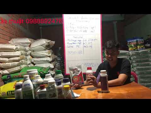 Video Phun thuốc rầy - bệnh - dưỡng nào phụ hợp cho cây sầu... - youtube