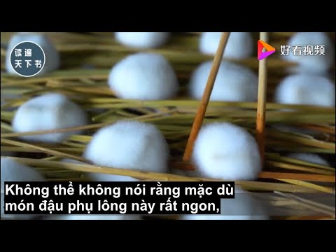 Video Đặc sản đậu phụ 'mọc lông' bốc mùi ở An Huy, Trung... - youtube