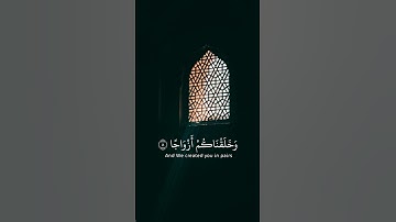 ( ألم نجعل الأرض مهادا ) | سورة النبأ | القارئ عبدالرحمن بن مسعد