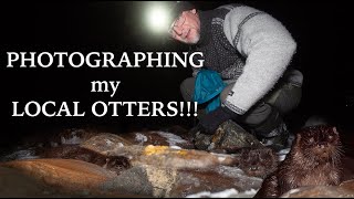 PHOTOGRAPHING the OTTER in the ARCTIC - NORTHERN NORWAY - Camera trap by Alfred Lucas 673 views 1 year ago 23 minutes