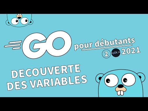 [2/??] Découverte des variables | Tutoriel Français Golang pour débutants 2021