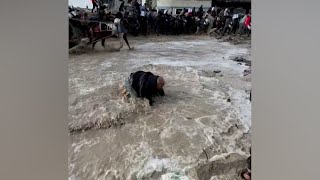 Chaotic Scenes During Aid Distribution as Gaza Residents Flee Under Fire | VOA News