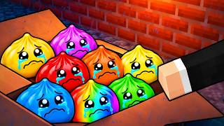 En Değerli SQUISHY DUMPLING Bulduk - Minecraft