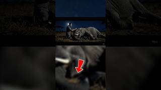 Daha Fazla Bu Tarz Video Için Abone Olabilirsin Gardaşım