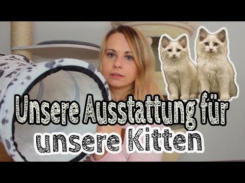 katzenfutter für untergewichtige katzen