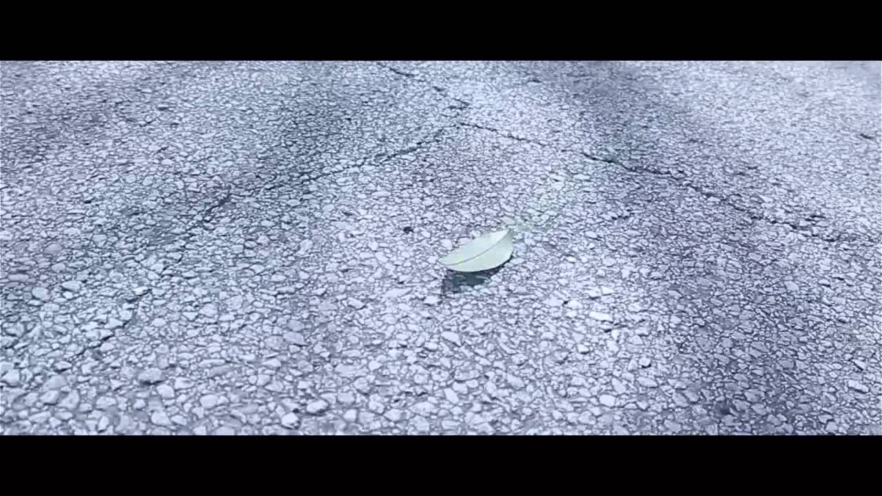 STN 2014 Short Story Royse City High School RCTV