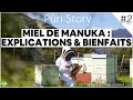 Puri story 2  miel de manuka  explications  bienfaits