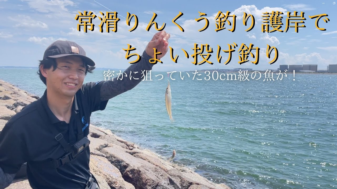 キスを狙いで30cm級の〇〇が！～常滑りんくう釣り護岸～【ちょい投げ釣り】
