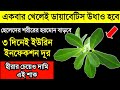 ডায়াবেটিসের বাপ এটি | ইউরিন ইনফেকশন, হার্টের রোগ, কোলেস্টেরল ৩ দিনেই দূর | হীরার চেয়েও দামি মেথি শাক