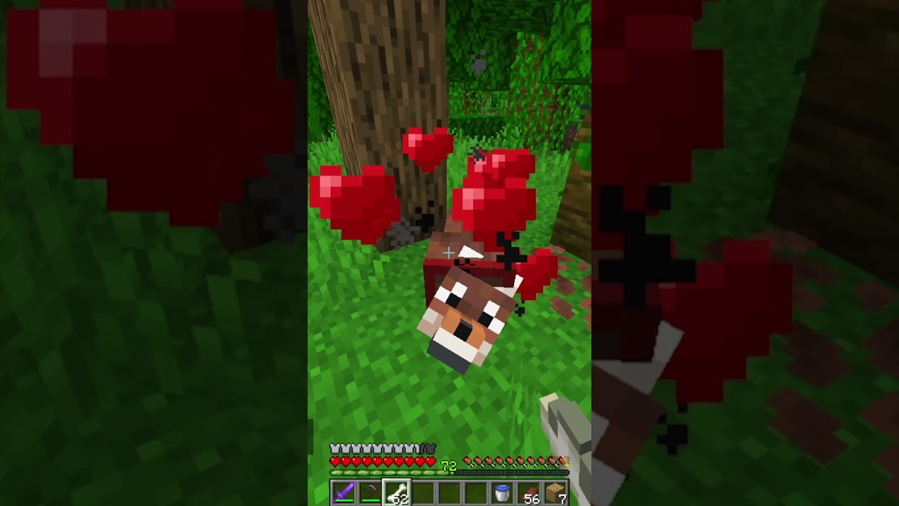 TODOS LOS LOGROS DE MINECRAFT #23 #minecraft #shorts
