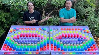 Puzzle sorting ball game challenging game hard mode