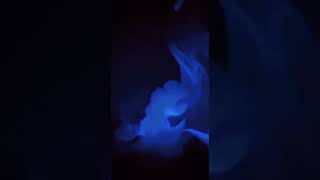 Amanati - Invicta (Smoking)