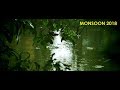 Monsoon 2018 | Kochi | Kerala | India