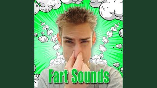 Provided to YouTube by The Orchard Enterprises Fart on Schedule: Fa...