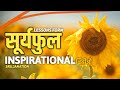 Lessons form sunflower  marathi inspirational shorts 2  srujanation