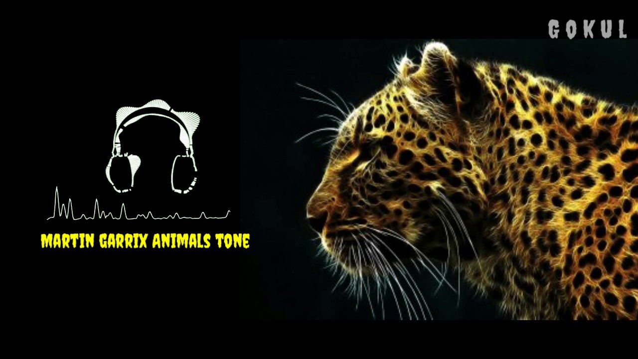 Martin Garrix Animals Ringtone G O K U L With Download Link Youtube Martin Garrix Martin Animals