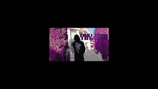 YNY SEBI - TOP ( slowed to perfection + bass boosted )