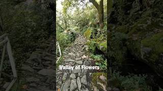 Valley of Flowers | awesome trek | shorts