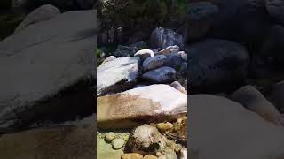 Rio Cabril - Trilho dos Poços Verdes - Xertelo - Cabril - Montalegre