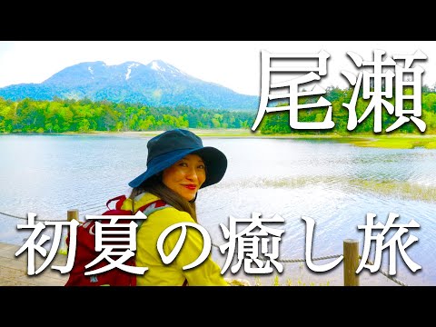【尾瀬夜行】登山ユーチューバーかほさんと尾瀬夜行に乗ってみた③最終回。尾瀬沼から桧枝岐村へ。癒されました【尾瀬ハイキング】