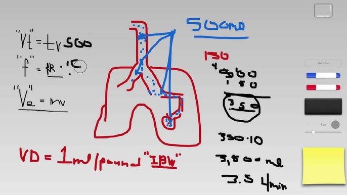 How to Calculate Alveolar Ventilation: Simple Steps Explained
