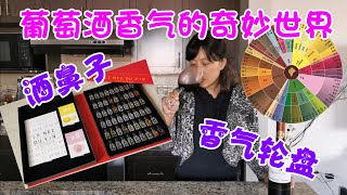 品酒师系列4：葡萄酒品鉴之闻香识酒，让您十分钟拥有品酒师的鼻子 | 葡萄酒的香气从哪来？有些什么香气？如何闻香？如何练习闻香？| Wine Aroma & Wine Bouquet (Eng SUB)