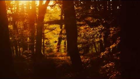 قرآن كريم , أجمل التلاوات, بأروع الأصوات, القرآن الكريم ,بدون حقوق طبع ونشر ,