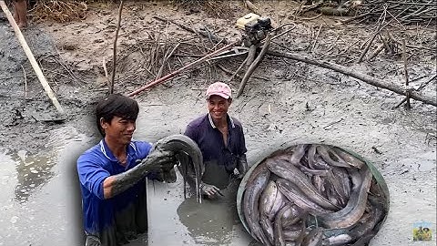 TÁT AO CỦA DƯỢNG 6 • TRÚNG ĐẬM NHIỀU LOẠI CÁ | Bông Lúa Đồng Tháp